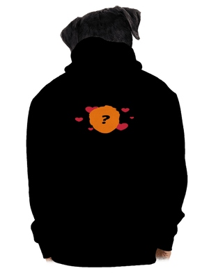 pánská mikina na zip