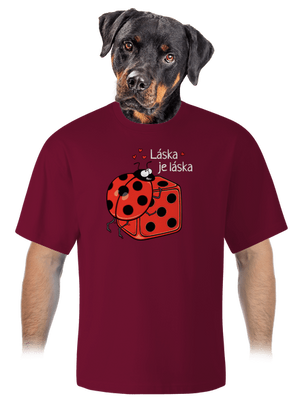 Láska je láska unisex tričko oversized Garnet