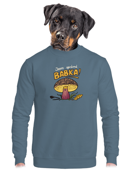 Babka a hříbeček unisex mikina bez kapuce Nordic Blue