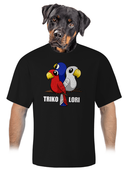 Trikolori unisex tričko oversized Black