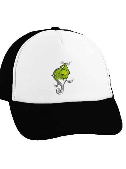 Zmizík kšiltovka truckerka Black cap