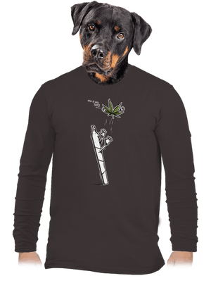 Joint a syn pánské dlouhý rukáv Bear Brown