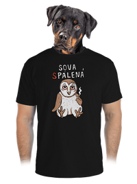 pánské sportovní tričko