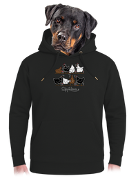 unisex mikina premium