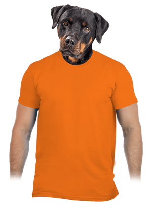 Bez potisku pánské tričko Orange