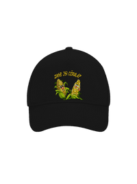 kšiltovka baseballka