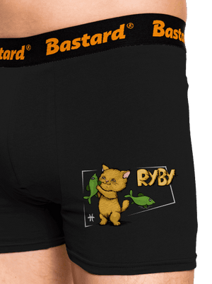 Kočičí horoskop: Ryby boxerky Black