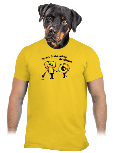 Pravá láska pánské tričko Gold