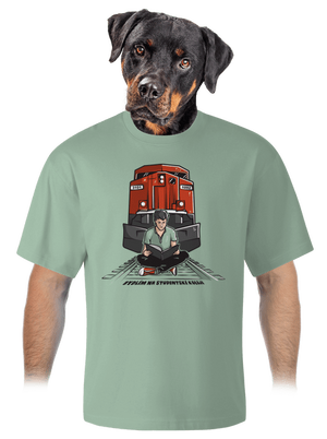 Studentská kolej unisex tričko oversized Sage