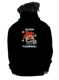 pánská mikina na zip