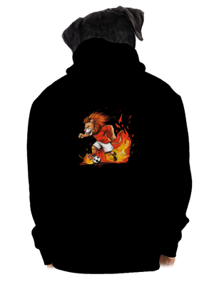 pánská mikina na zip