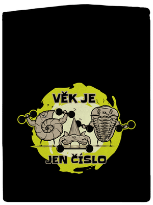 Věk je jen číslo pánská mikina na zip Black