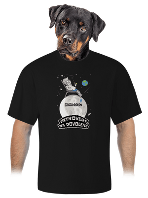 Introvert na dovolené unisex tričko oversized Black
