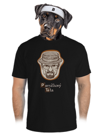 pánské sportovní tričko