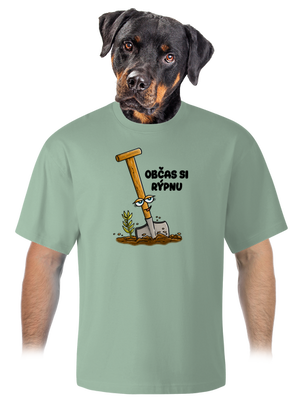 Občas si rýpnu unisex tričko oversized Sage