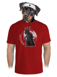 pánské sportovní tričko