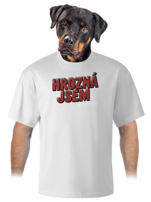 unisex tričko oversized
