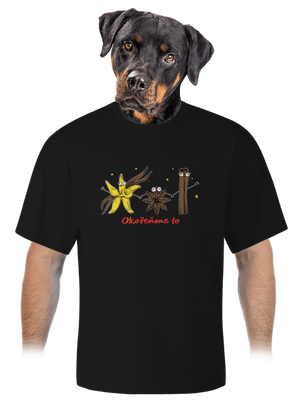 unisex tričko oversized