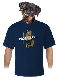 unisex tričko oversized