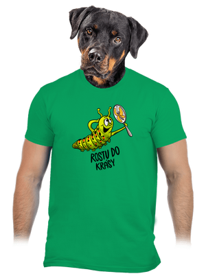 Rostu do krásy pánské tričko Kelly Green