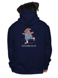 pánská mikina na zip