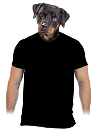 pánské tričko