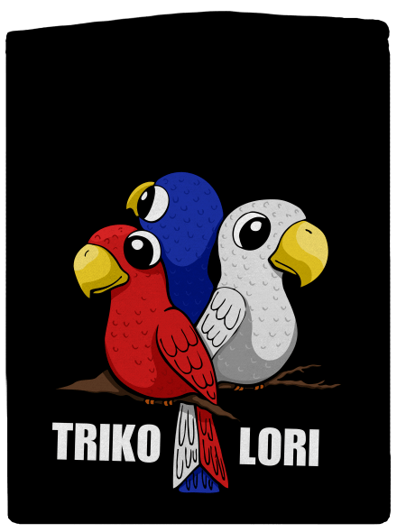Trikolori pánská mikina na zip Black