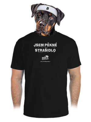 pánské sportovní tričko