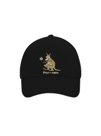 kšiltovka baseballka