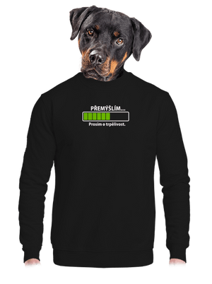 Přemýšlím unisex mikina bez kapuce Black