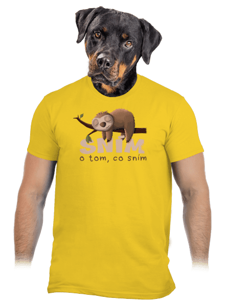 Sním o tom, co sním pánské tričko Gold
