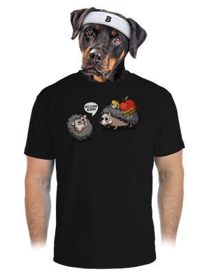 pánské sportovní tričko