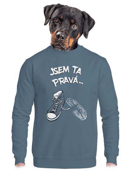 Hledám tu pravou unisex mikina bez kapuce Nordic Blue