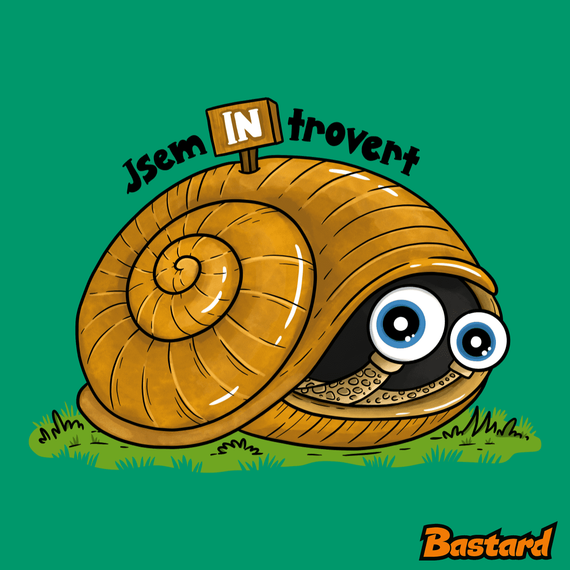 Jsem introvert