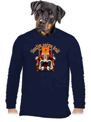 pánské dlouhý rukáv