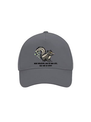 kšiltovka baseballka