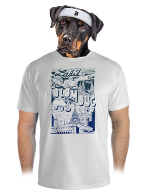 pánské sportovní tričko