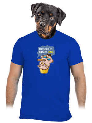 Boss pánské tričko Royal Blue