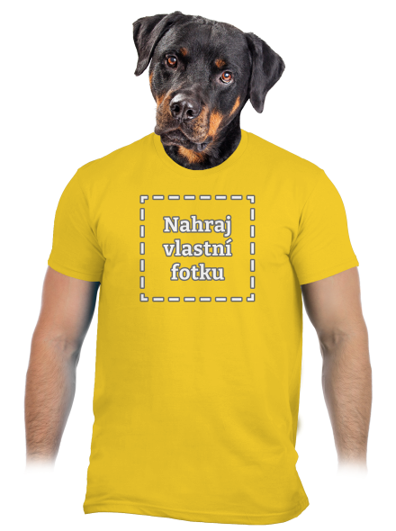 Vlastní potisk pánské tričko Gold