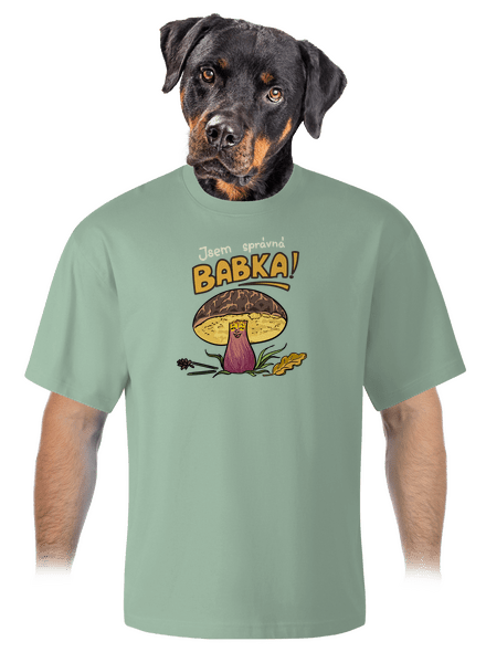 Babka a hříbeček unisex tričko oversized Sage