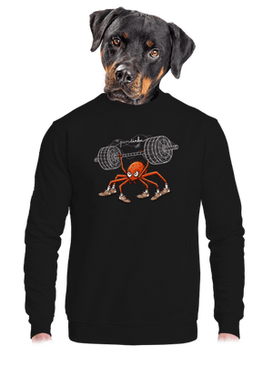 Pavučinka unisex mikina bez kapuce Black