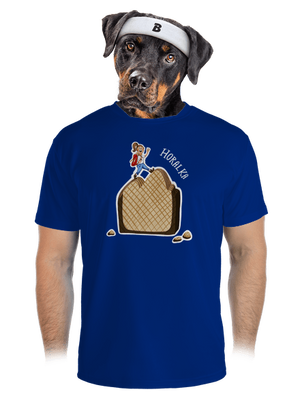 pánské sportovní tričko