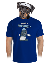 pánské sportovní tričko