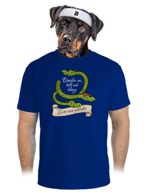 pánské sportovní tričko