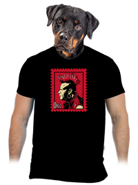 pánské tričko