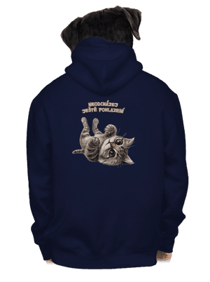 pánská mikina na zip