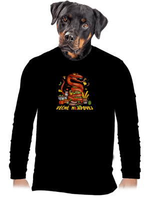 pánské dlouhý rukáv