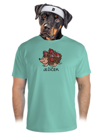 pánské sportovní tričko