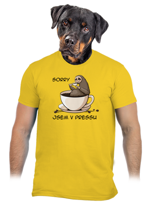 V pressu pánské tričko Gold