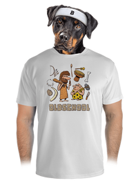 pánské sportovní tričko